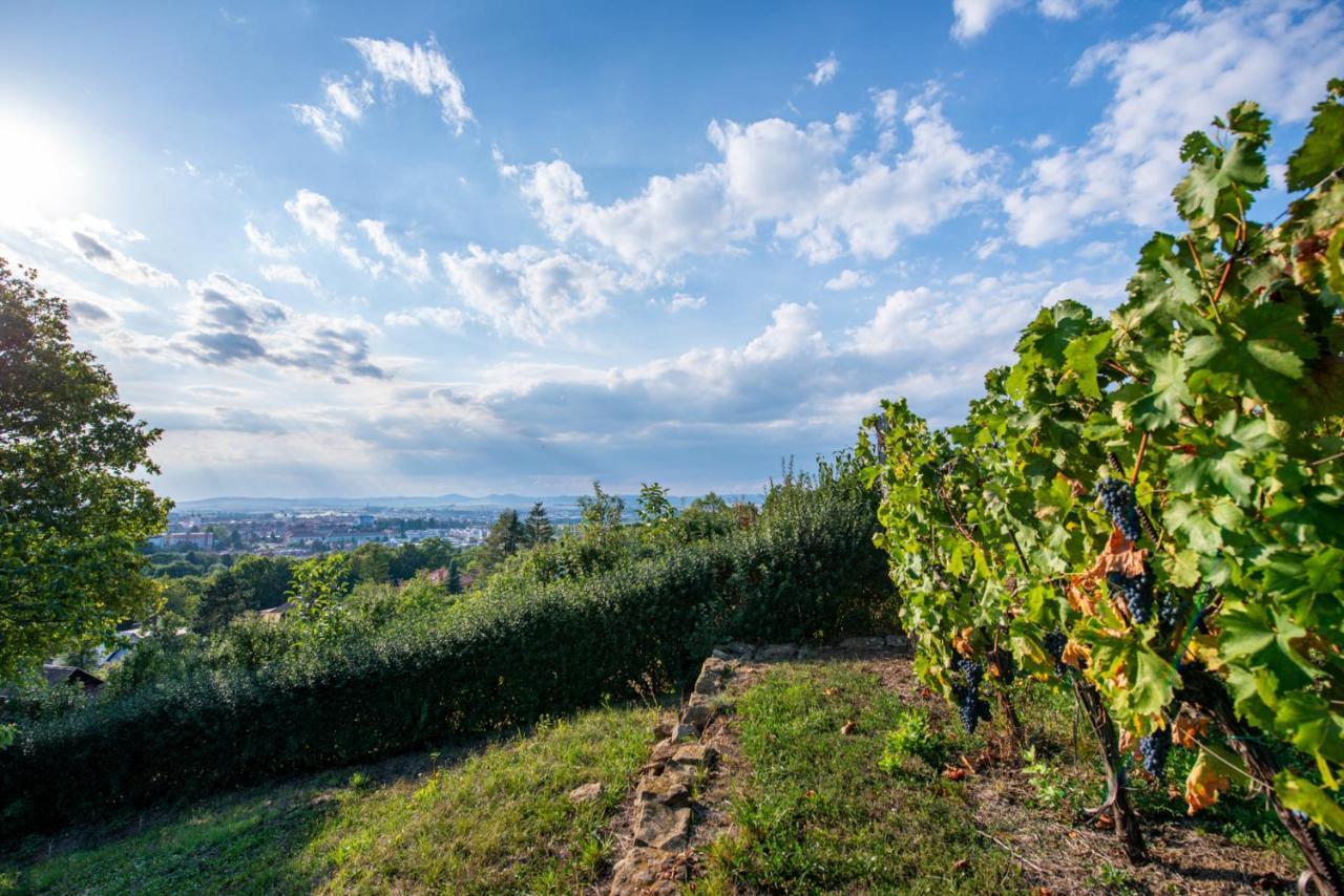 Apartmány Sklepy Mařatice Uherské Hradiště Exteriér fotografie